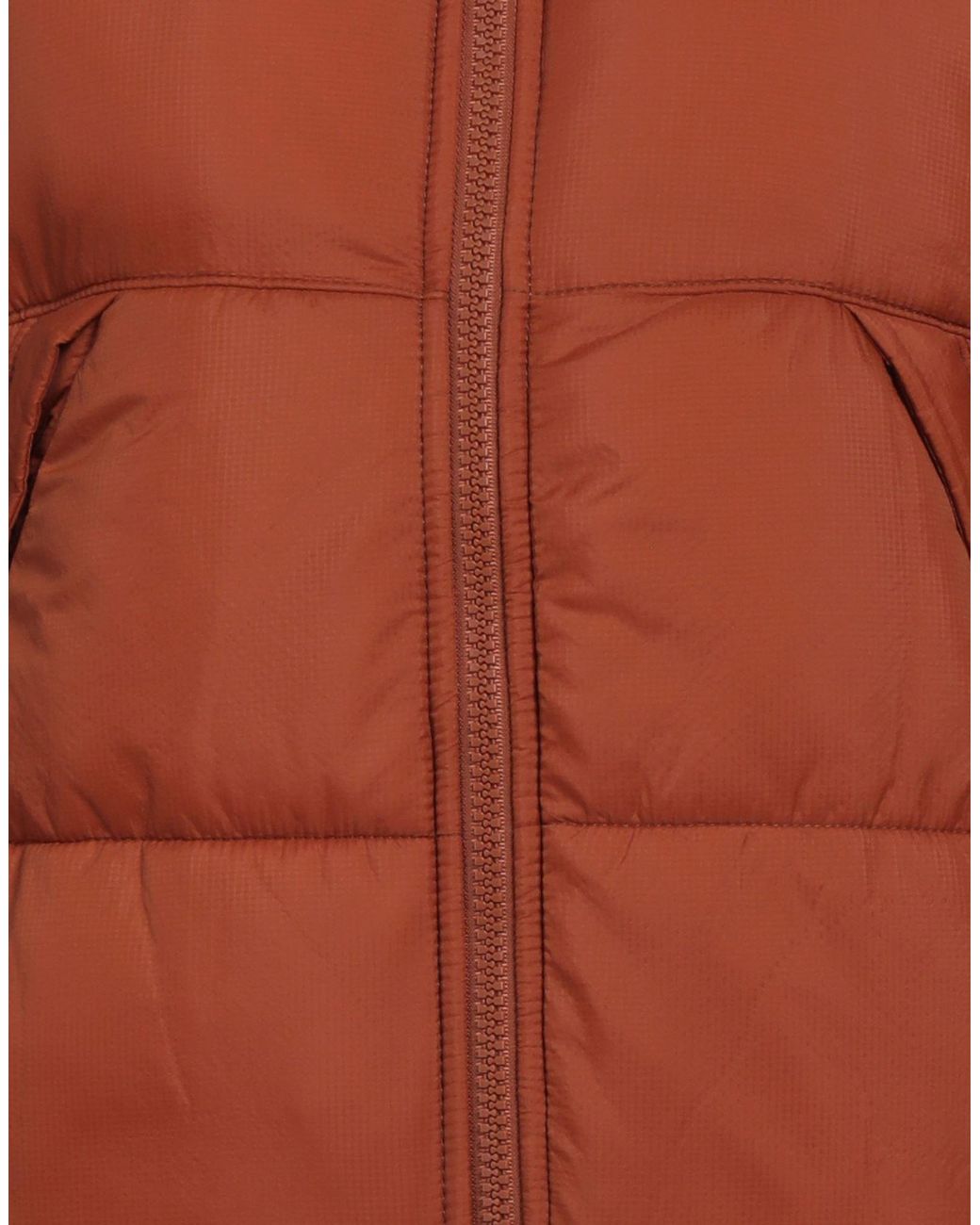 Dickies Brown Puffer