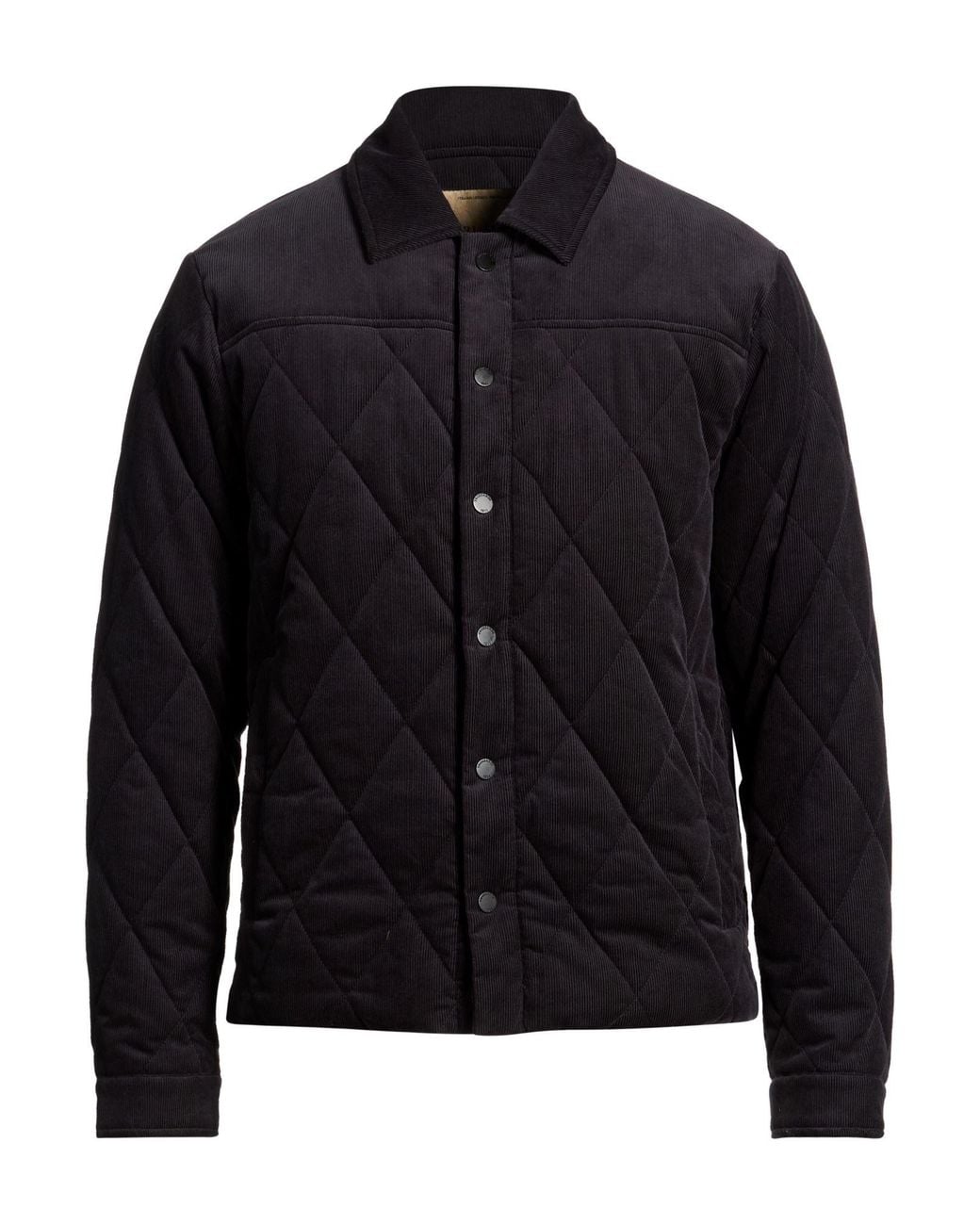 Trussardi Blue Puffers for men