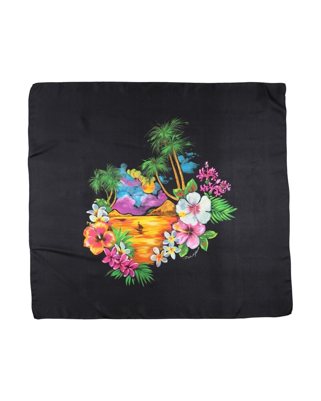 Dolce & Gabbana Black Scarves