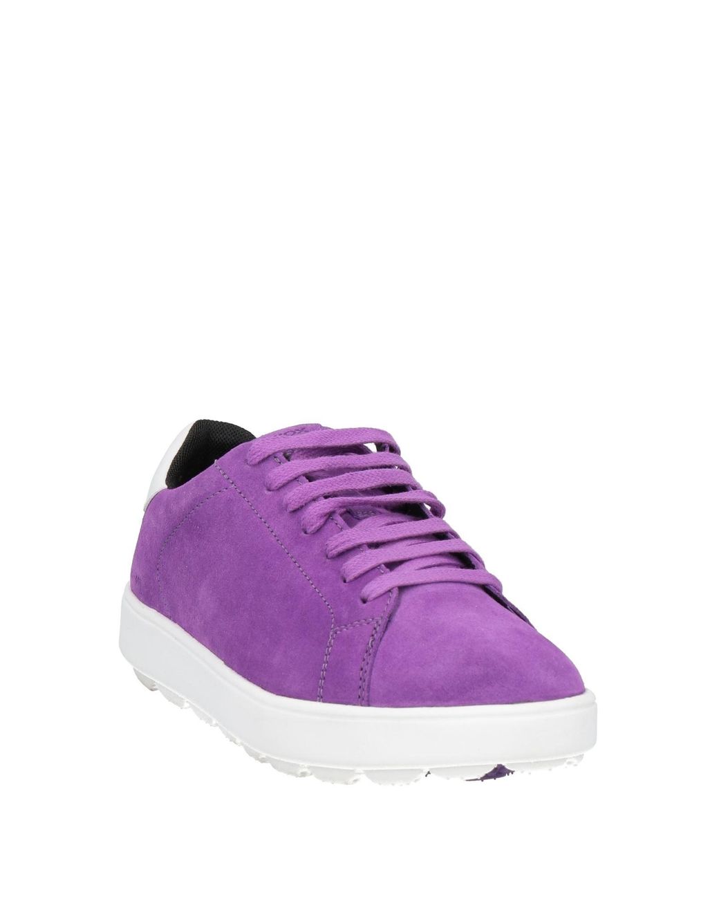 Geox Purple Trainers