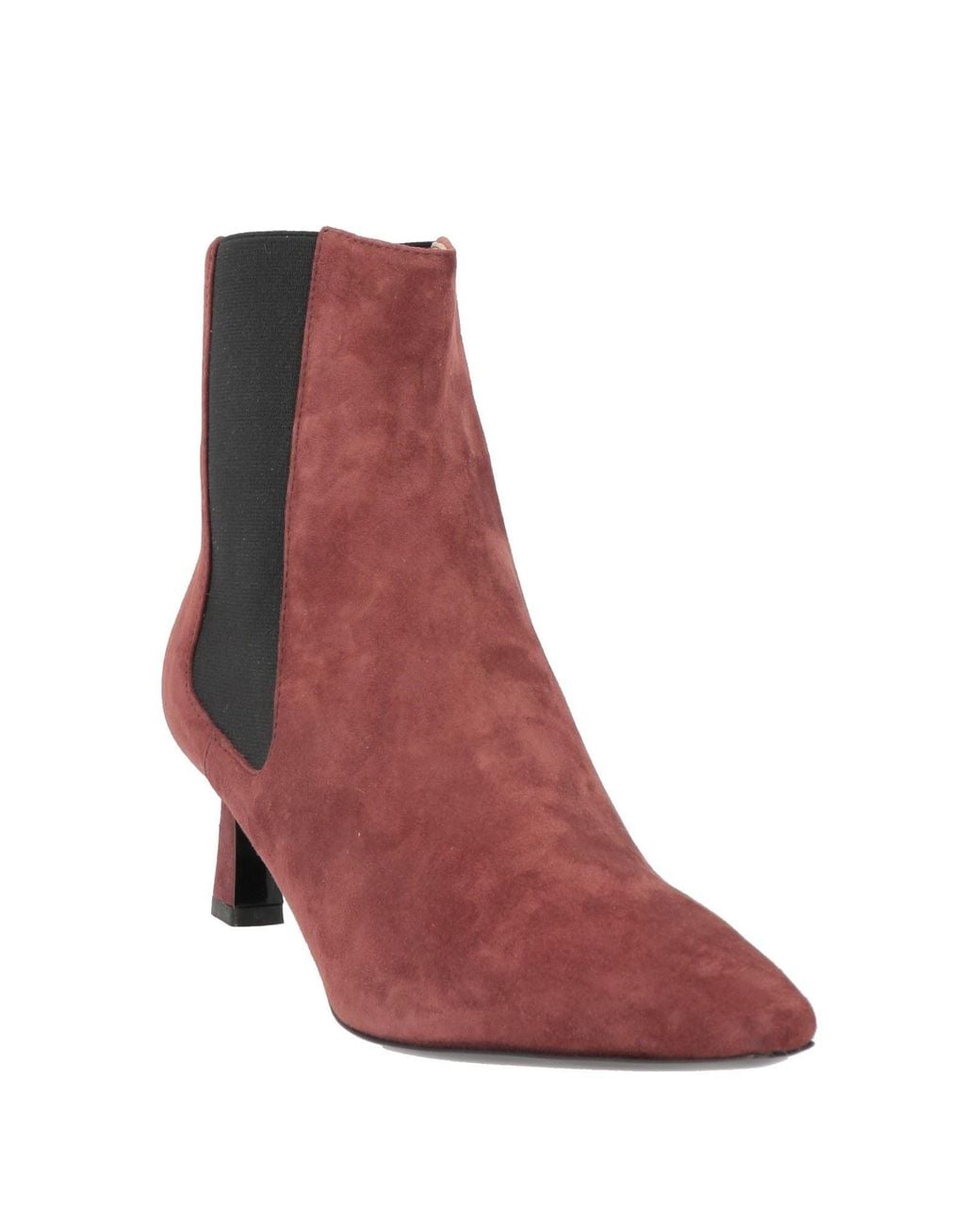 Bottines Pollini en coloris Brown