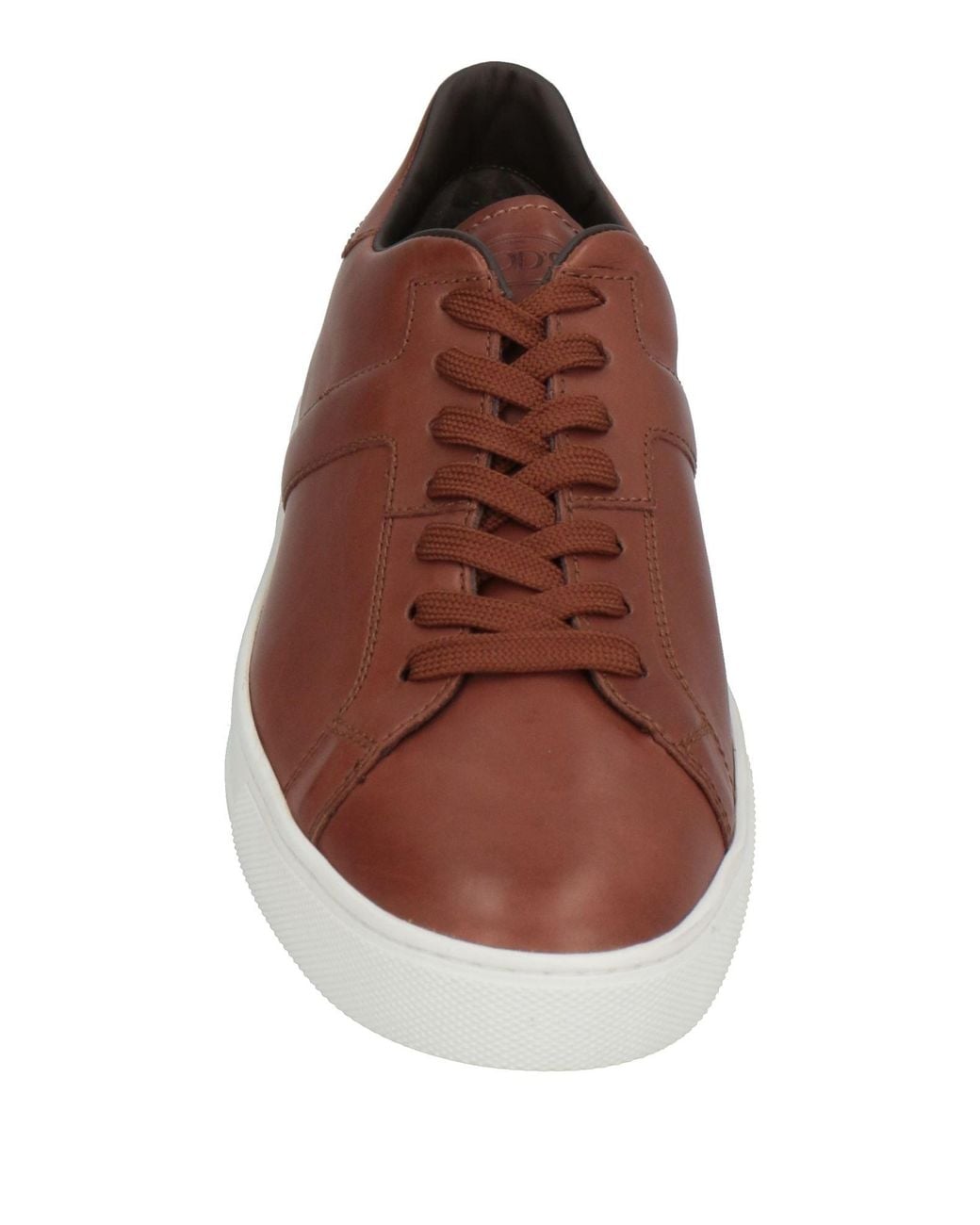 Tod's Brown Sneakers for men