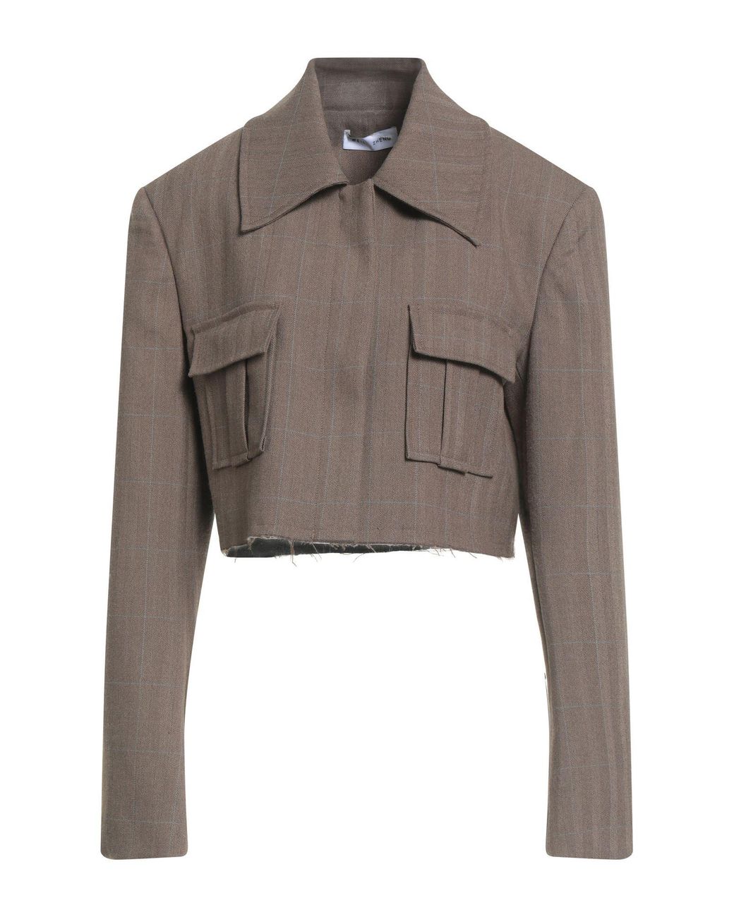 WEILI ZHENG Gray Jacket