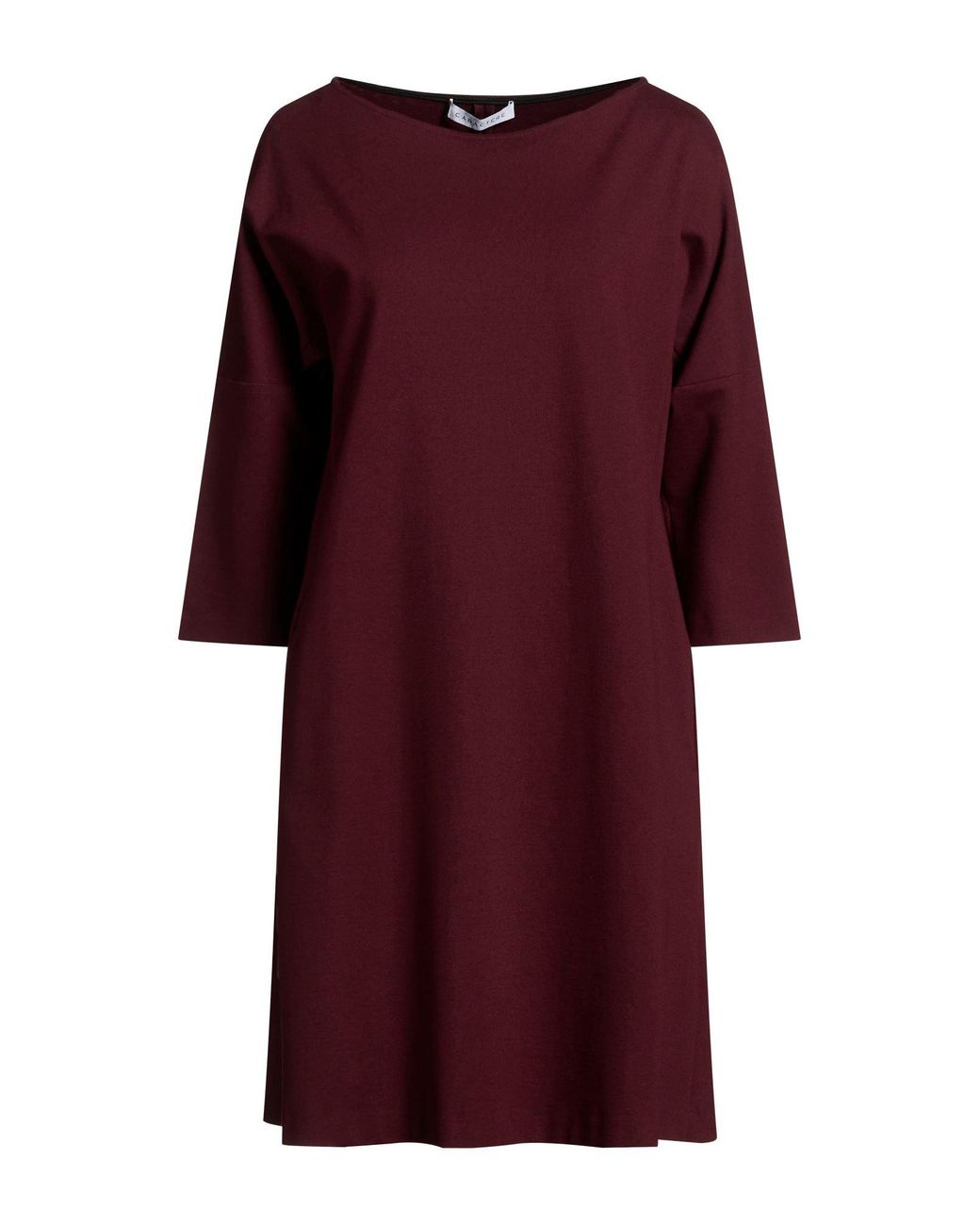 Caractere Purple Mini Dresses