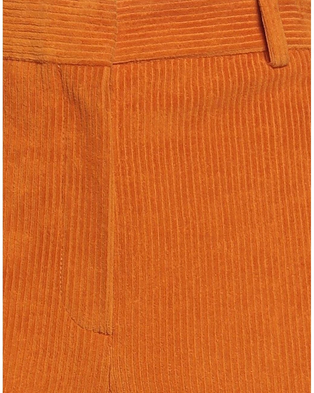 Circolo 1901 Orange Pants Cotton, Polyester