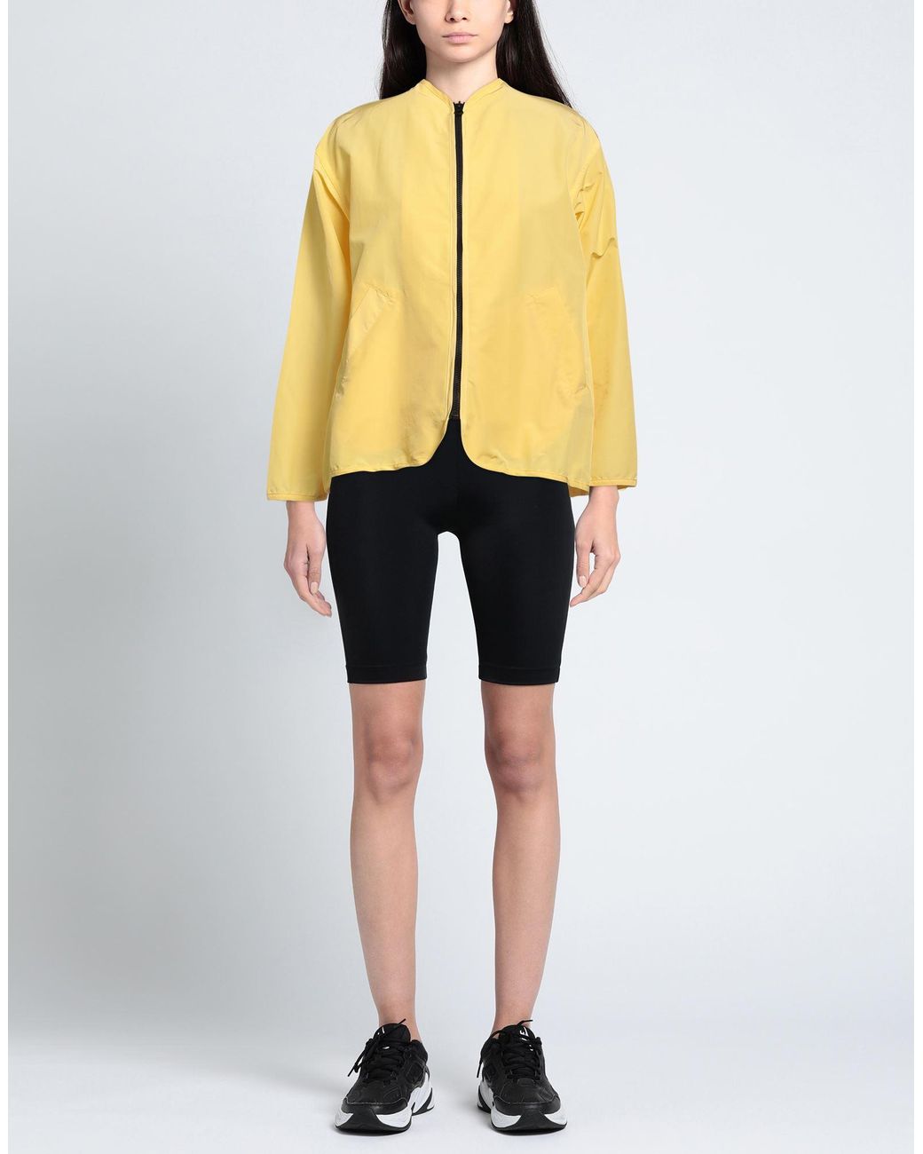 Cape Yellow Jacket