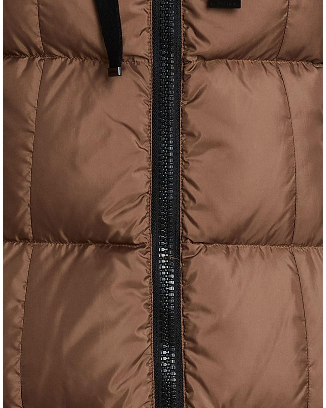 Peuterey Brown Puffer