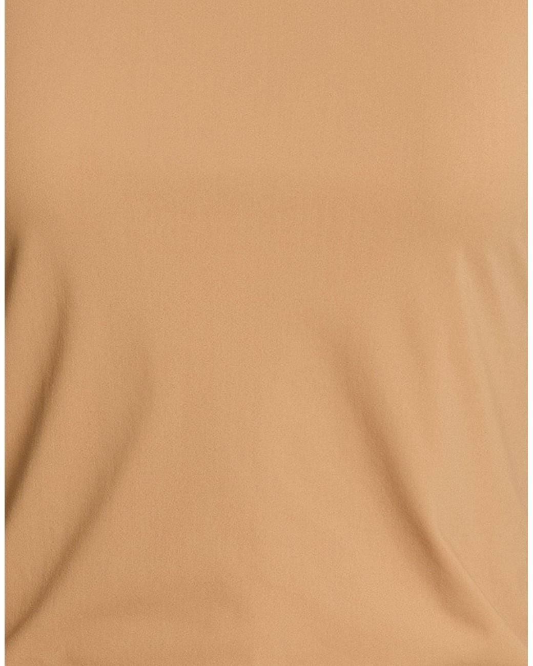 Jil Sander Brown T-Shirt Polyamide, Elastane