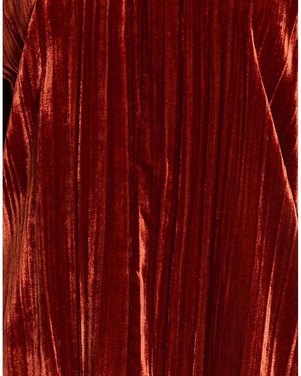 Forte_forte Red Top