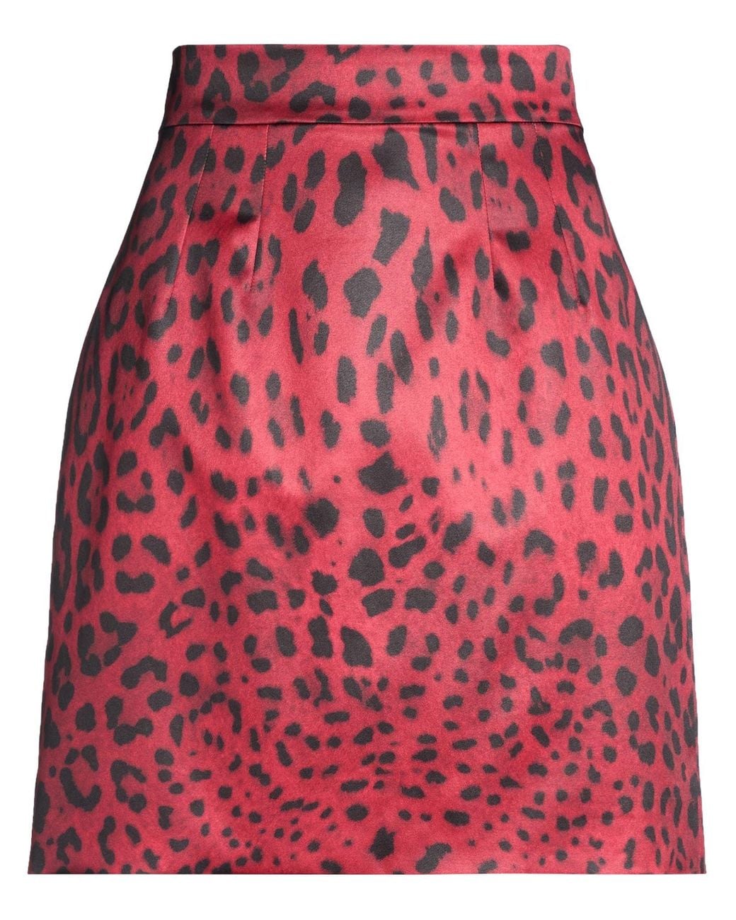 Dolce & Gabbana Red Mini Skirts