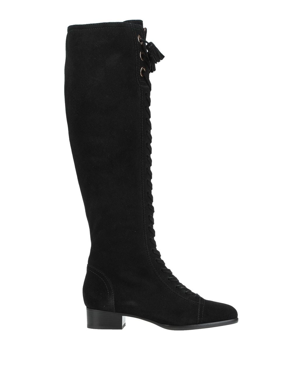 Botte Alberta Ferretti en coloris Black