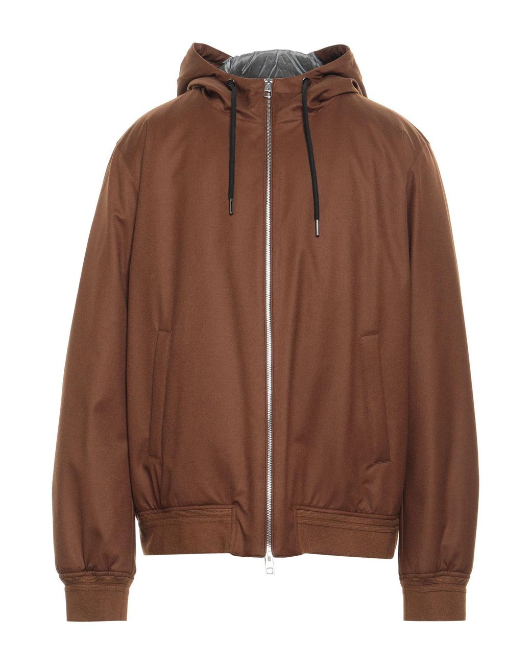 Montecore Brown Puffer for men