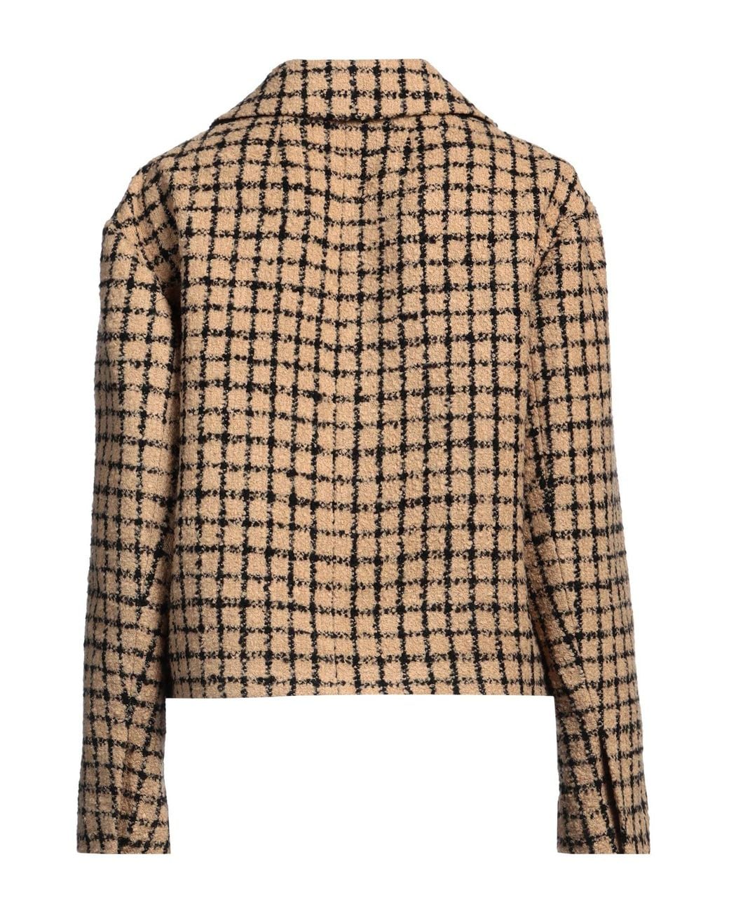 Americana Sandro de color Brown