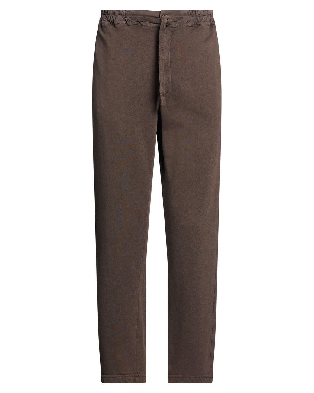 Crossley Brown Chocolate Pants Cotton for men