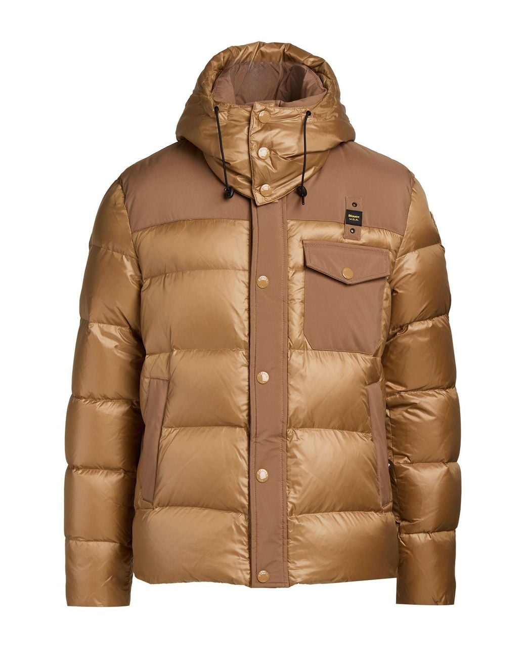 Blauer Brown Puffers for men