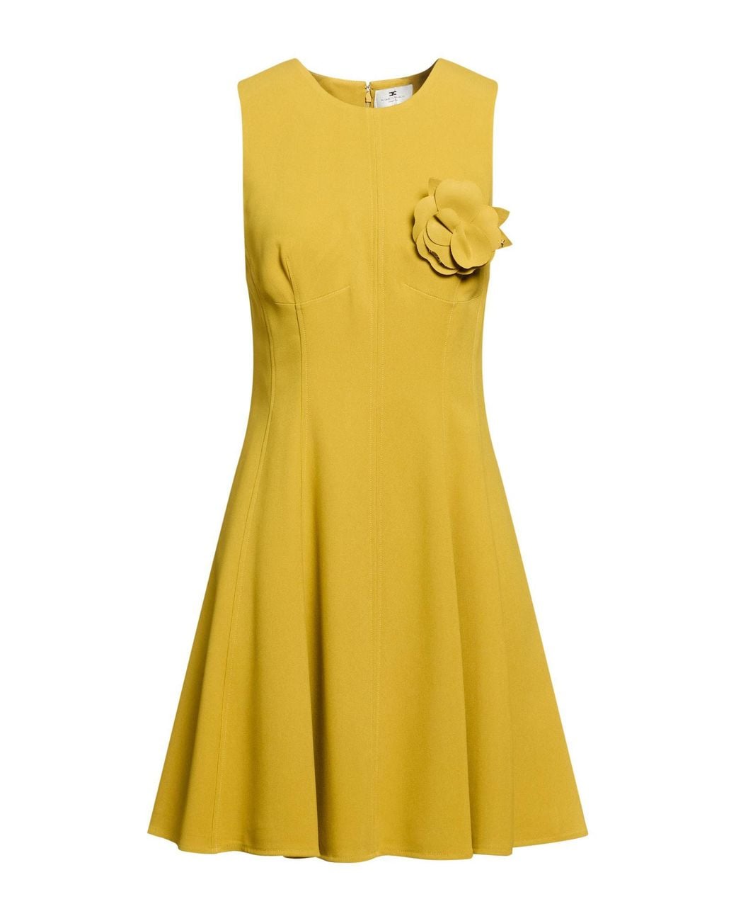 Elisabetta Franchi Yellow Mini Dress