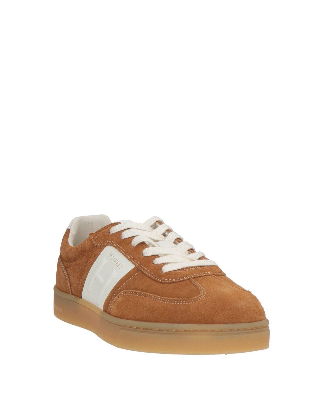 Hackett Brown Trainers for men