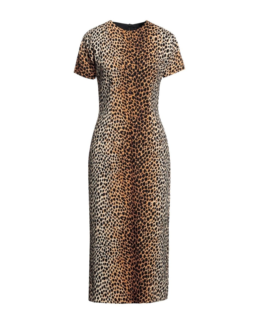 Dolce & Gabbana Natural Midi Dress