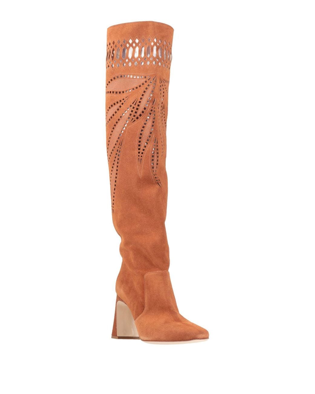 Botte Alberta Ferretti en coloris Brown