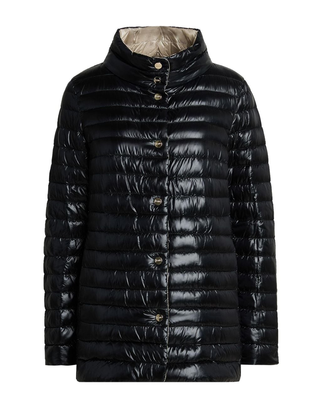 Herno Black Puffers