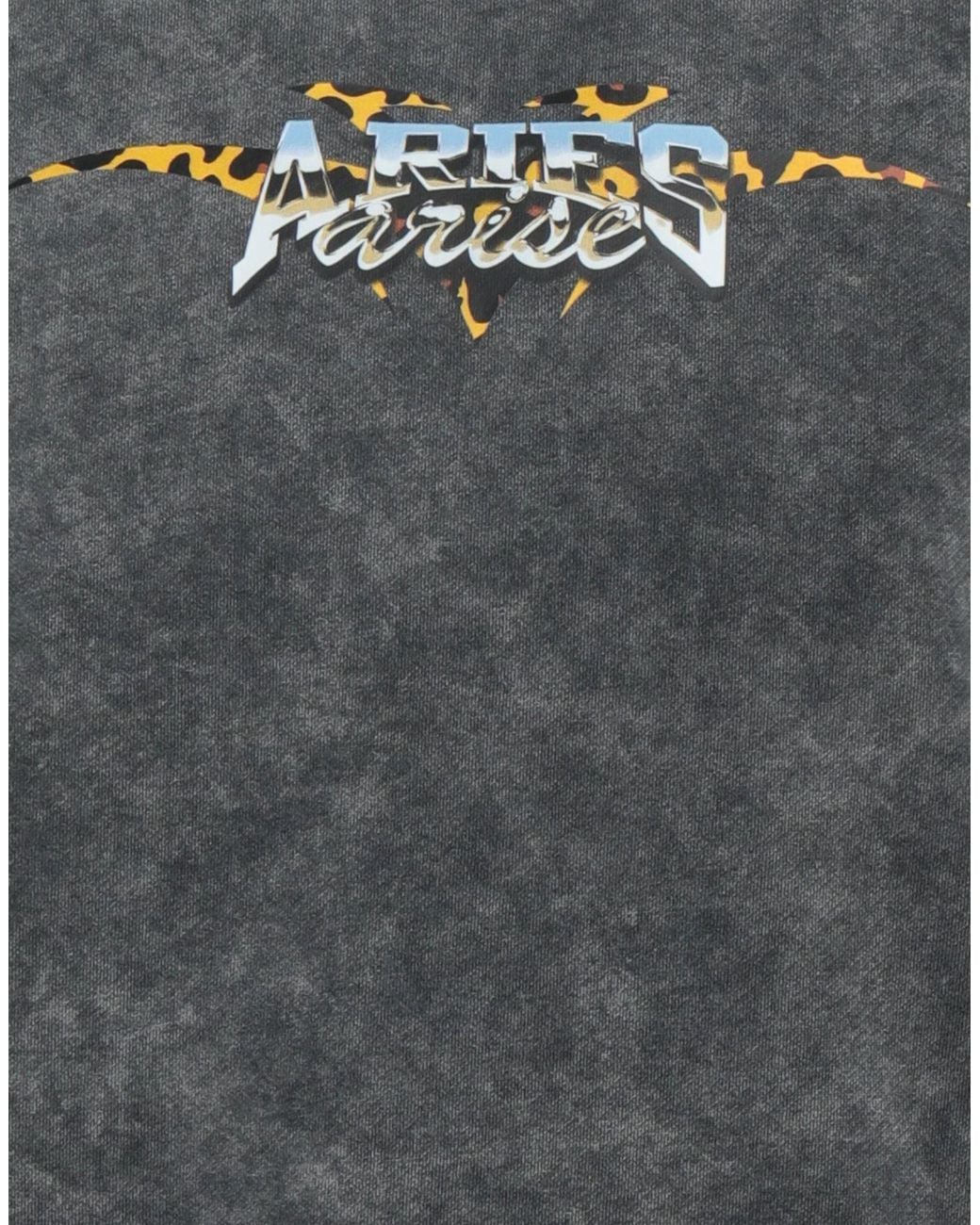 Aries Gray Sweatshirt for men