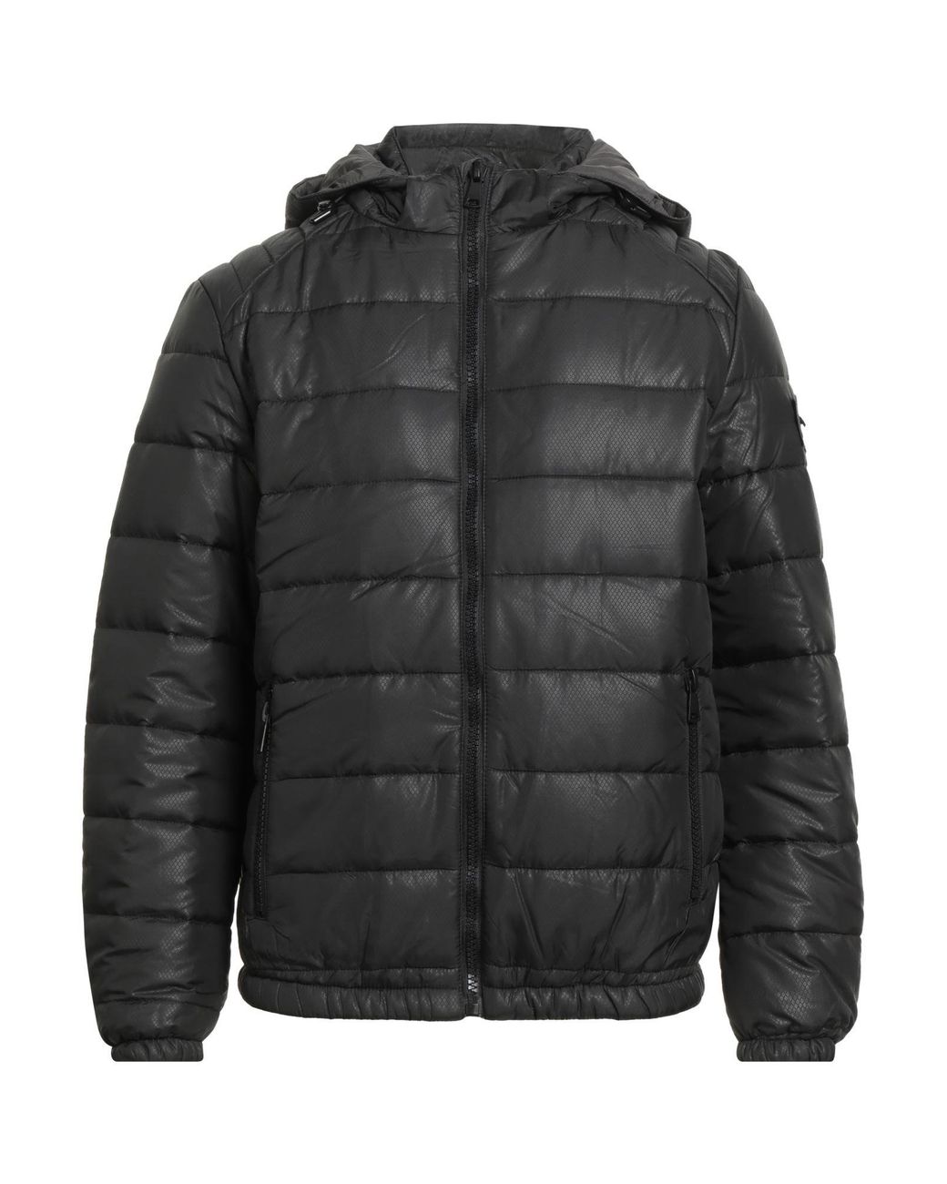 Baldinini Gray Puffer for men