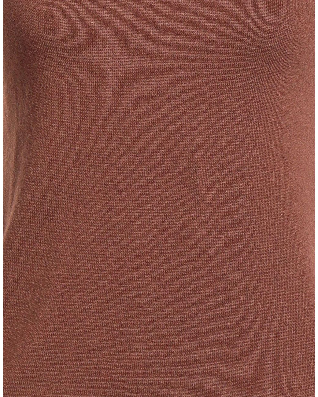 Raffaela D'angelo Brown Turtleneck