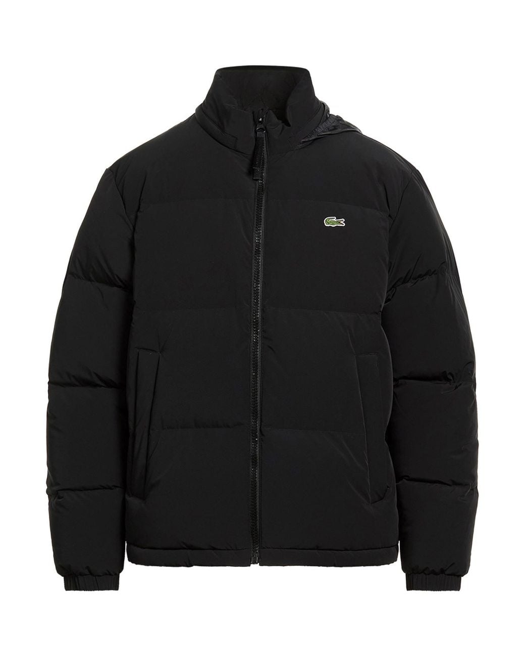 Lacoste Black Puffer Polyamide, Elastane for men