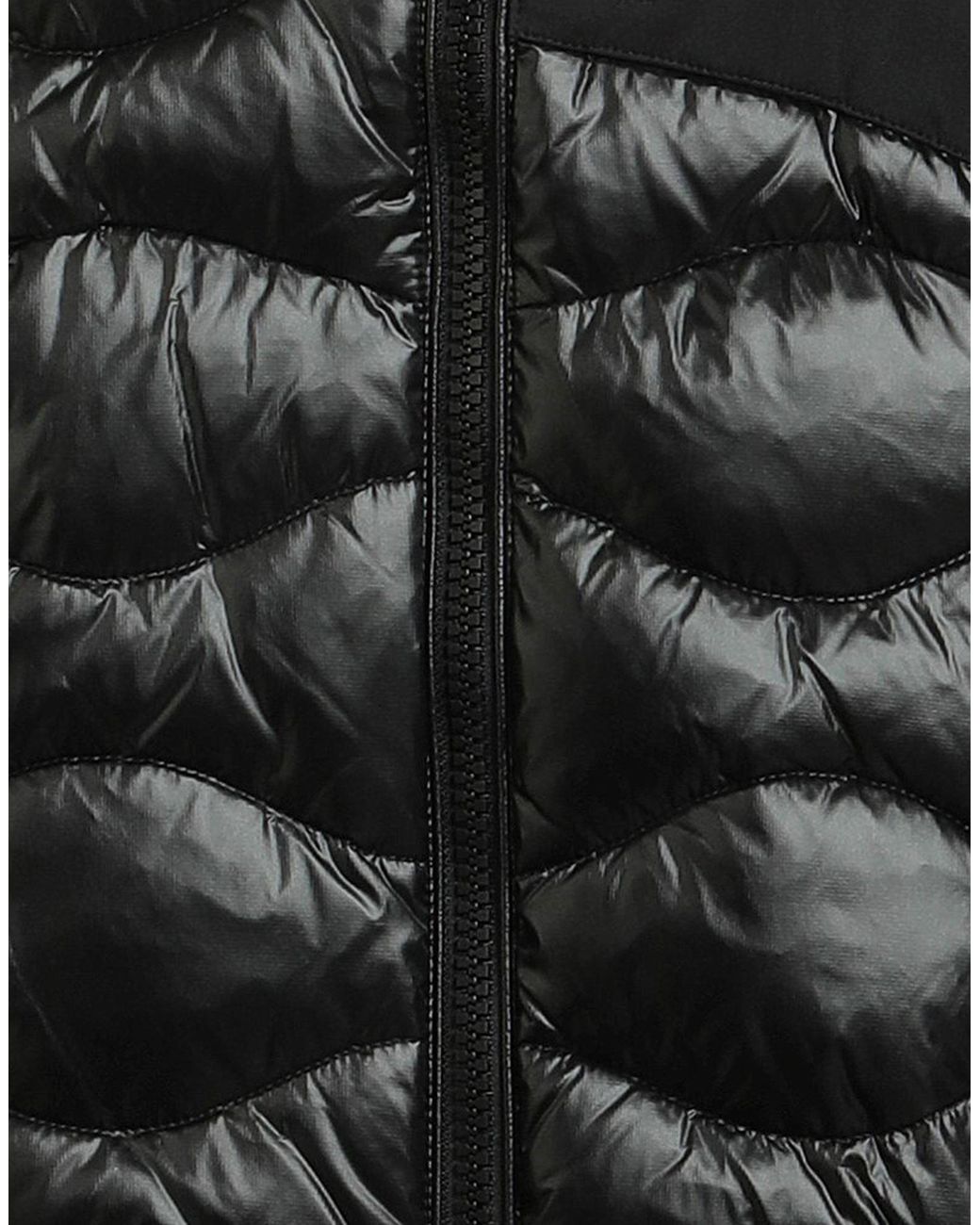 Blauer Black Puffer for men