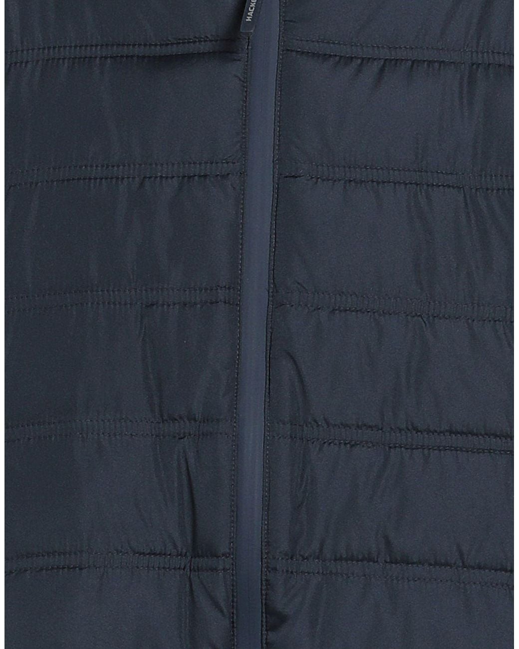 Hackett Blue Puffer for men