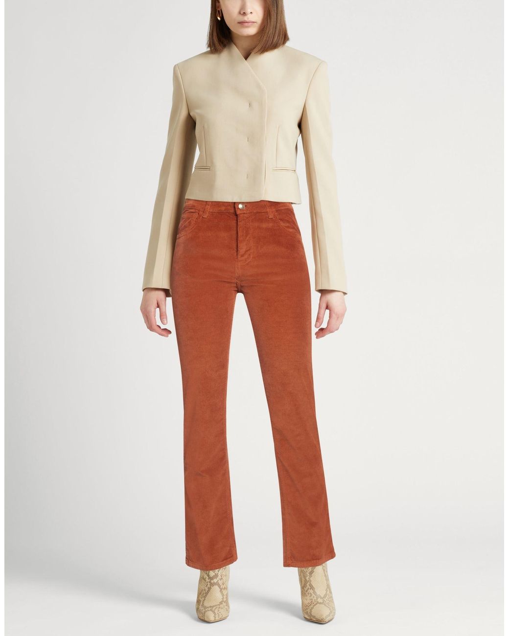 Fay Brown Trouser
