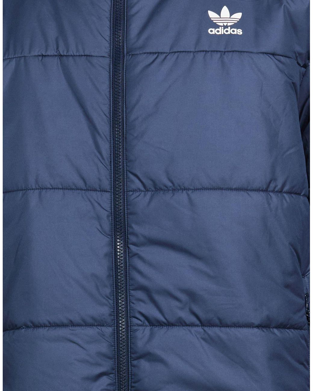 Adidas Blue Puffer Polyester for men