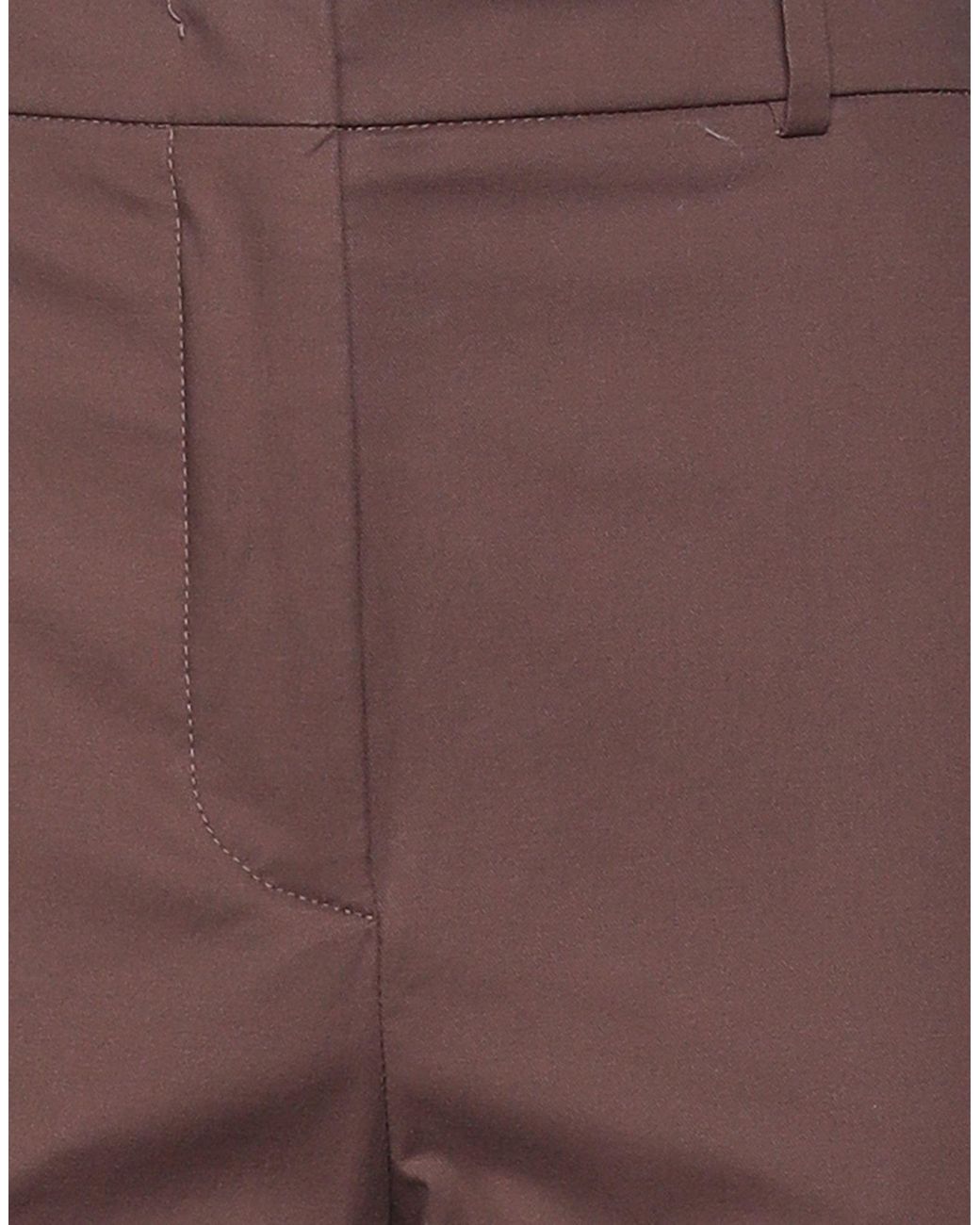 Incotex Brown Trouser