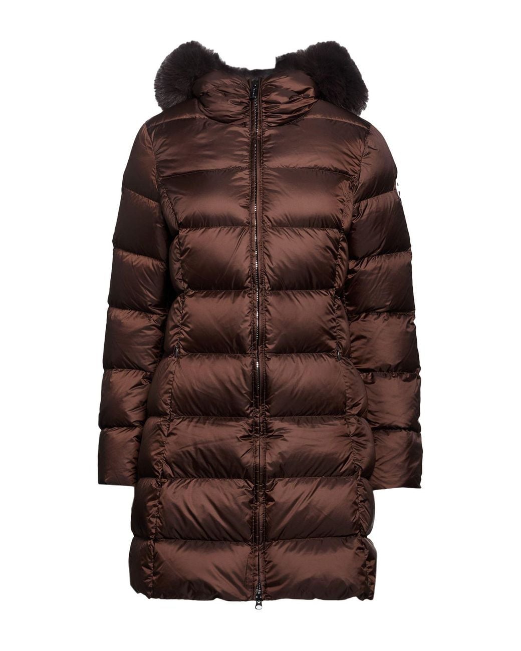 Colmar Brown Puffers