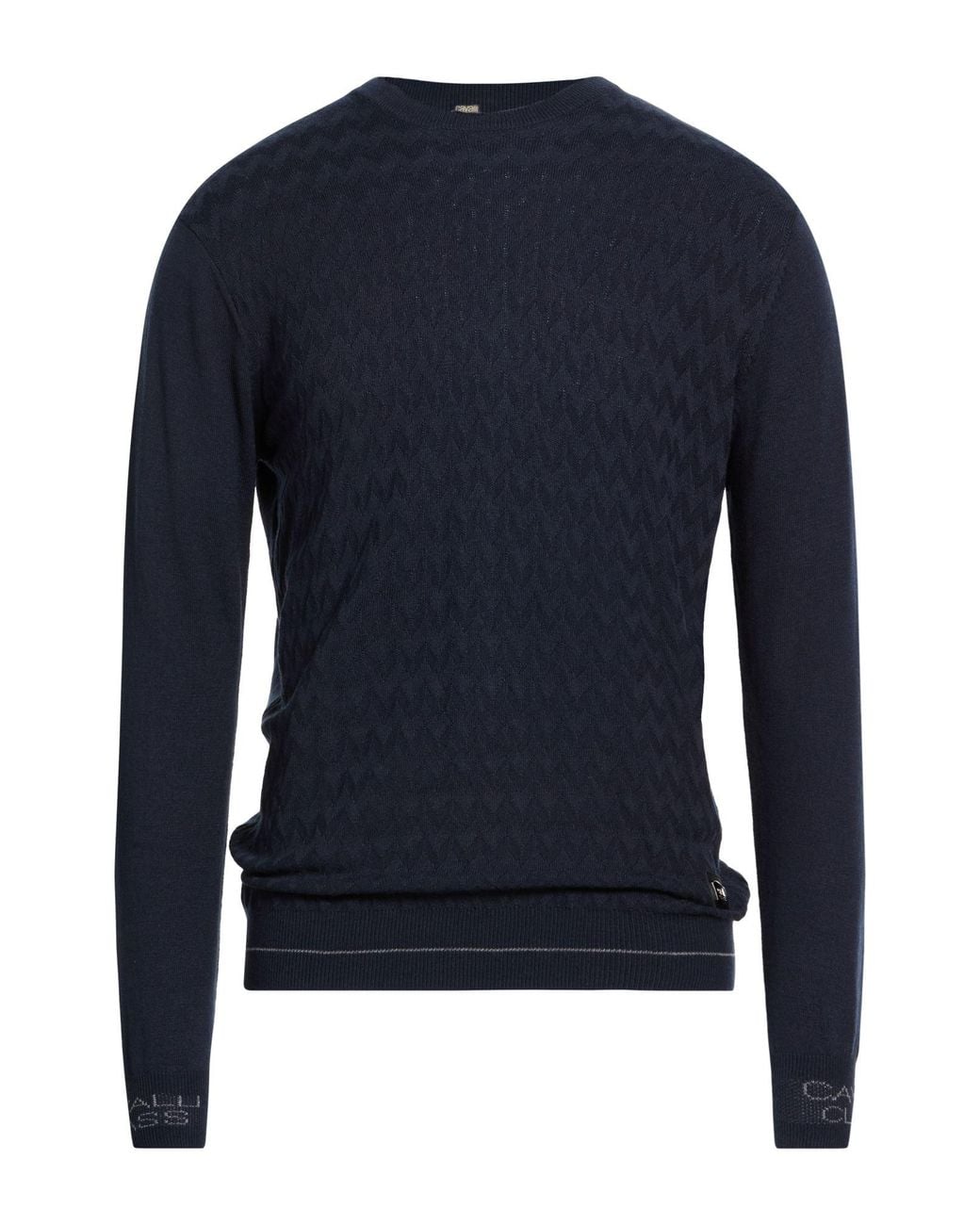 Roberto Cavalli Pullover in Blue für Herren
