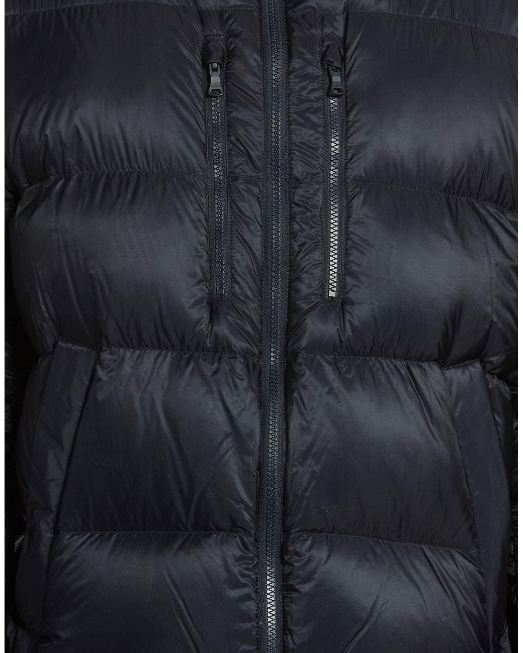 Paul & Shark Blue Puffer for men
