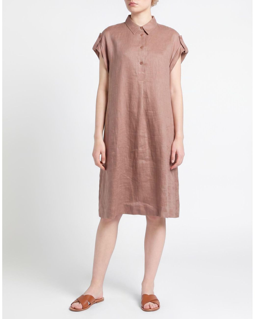 Windsor. Brown Midi Dress