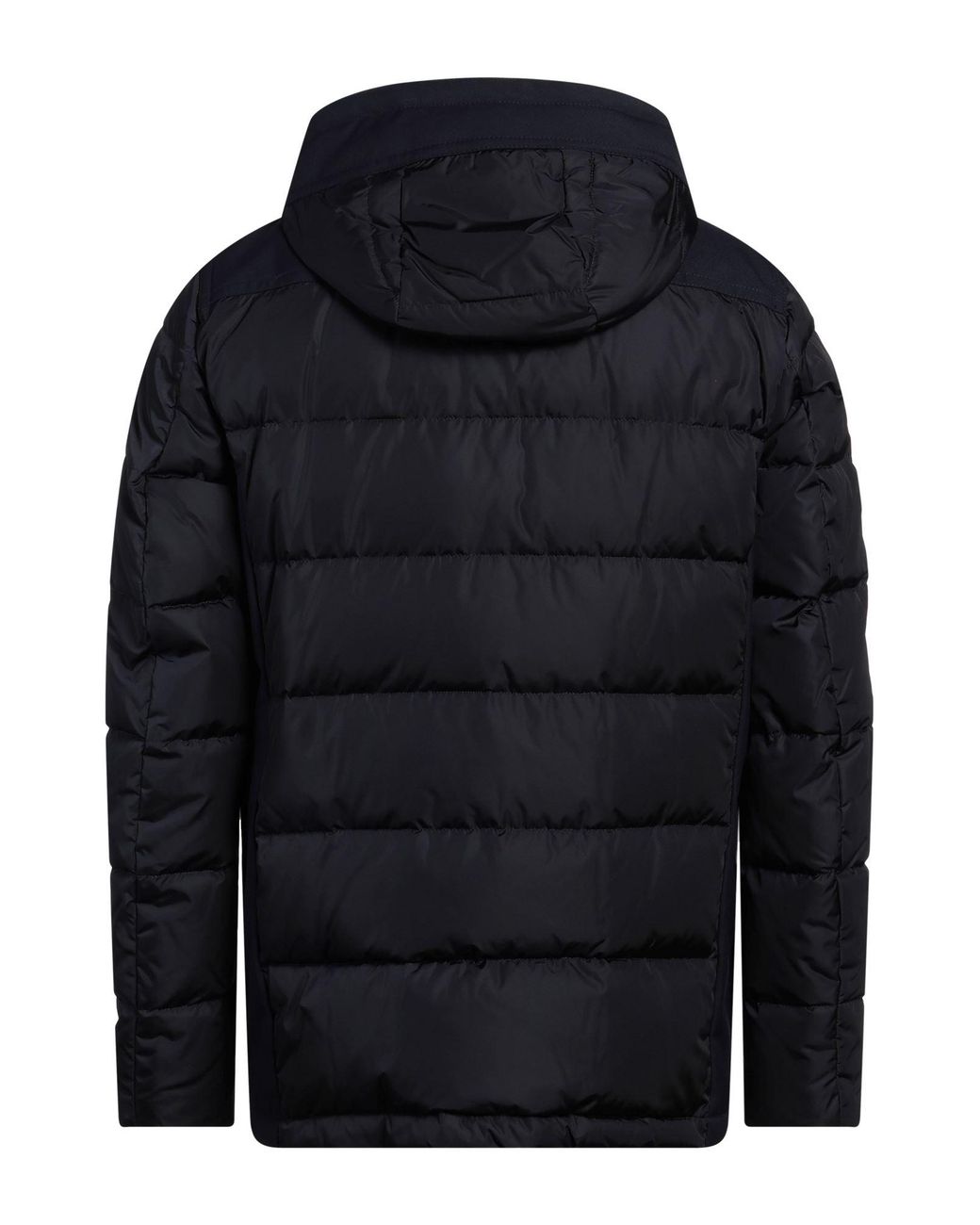 Fay Blue Puffer for men