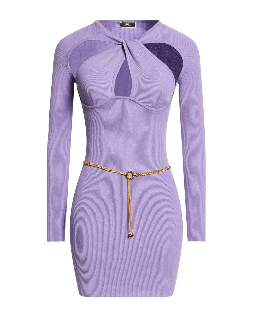 Elisabetta Franchi Purple Mini Dresses
