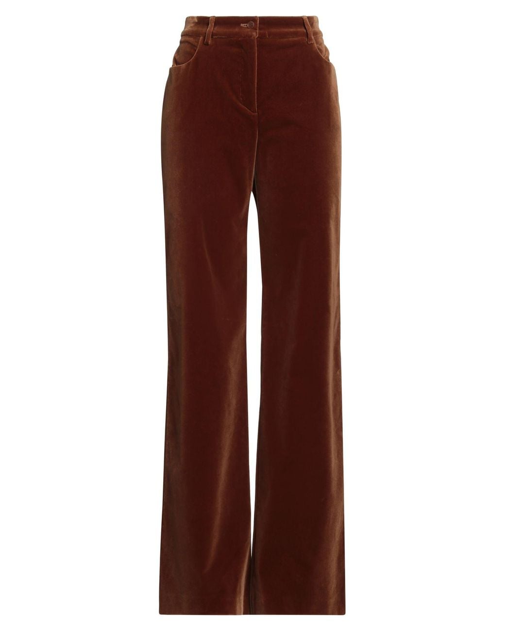 Alberta Ferretti Brown Pants