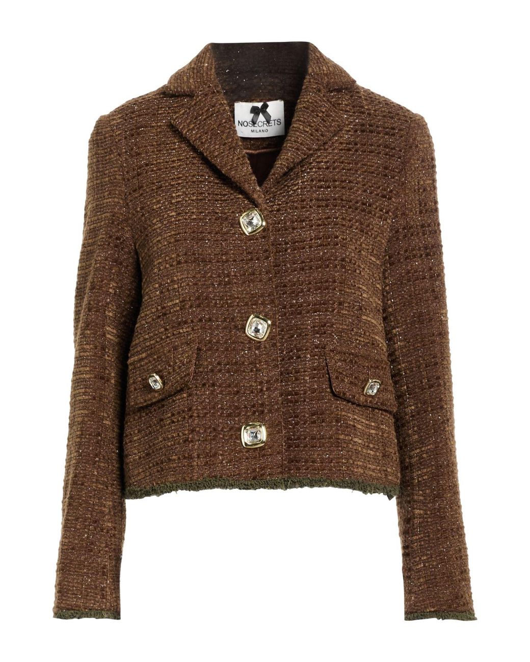 No Secrets Brown Blazer