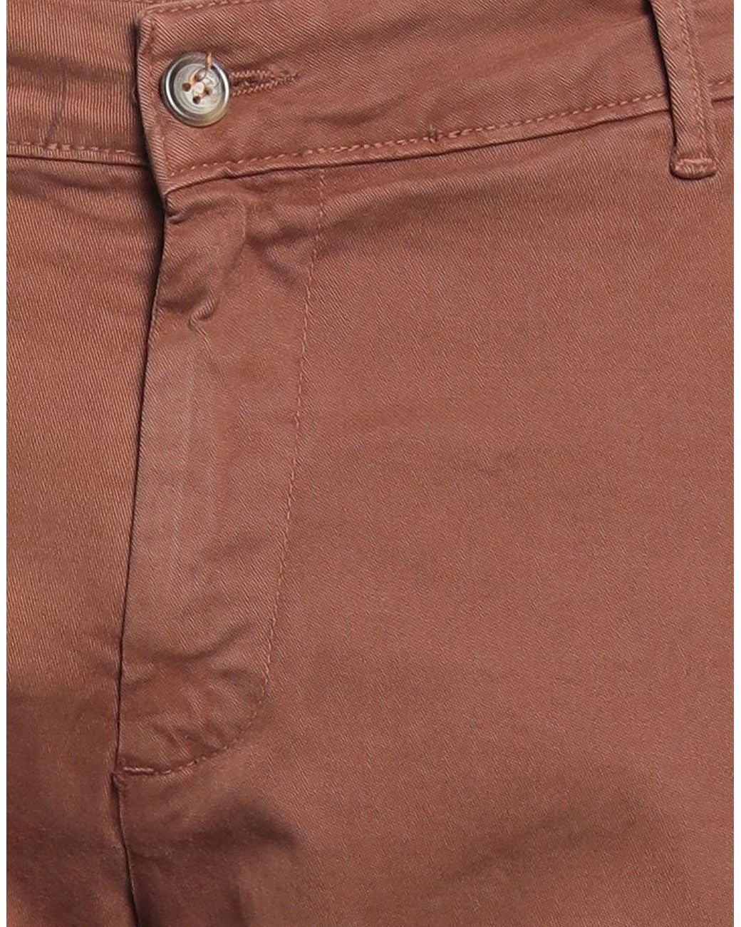 Stilosophy Brown Trouser for men