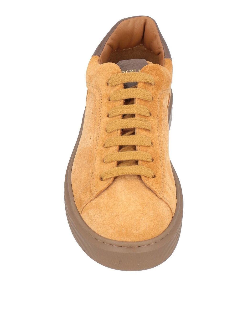 Doucal's Brown Trainers for men