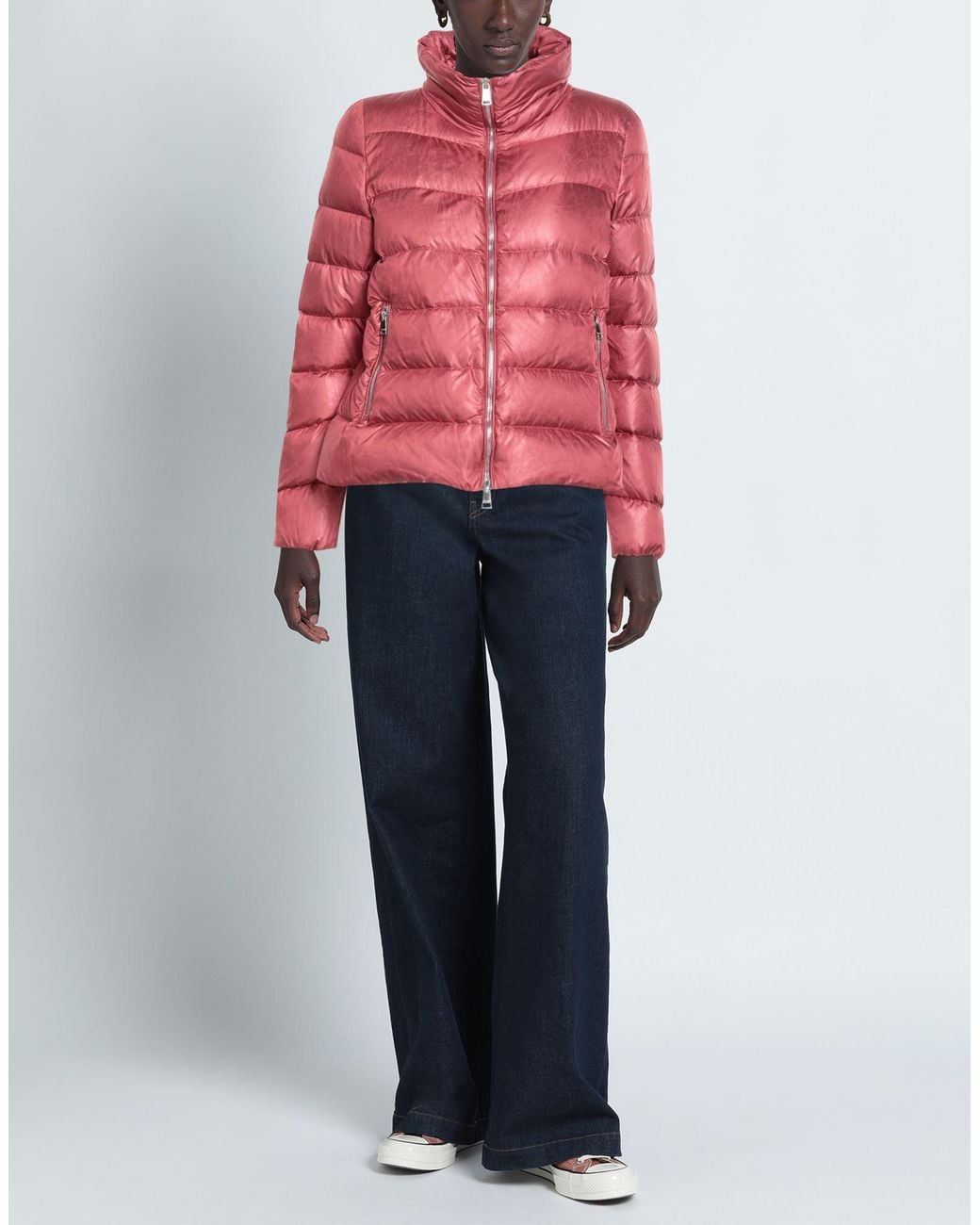 Jan Mayen Red Puffer