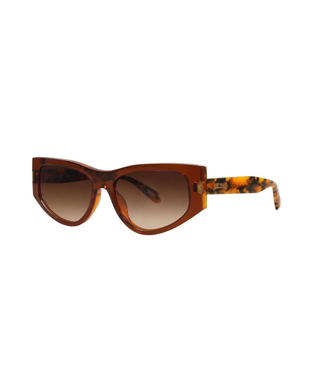 Just Cavalli Brown Sunglasses