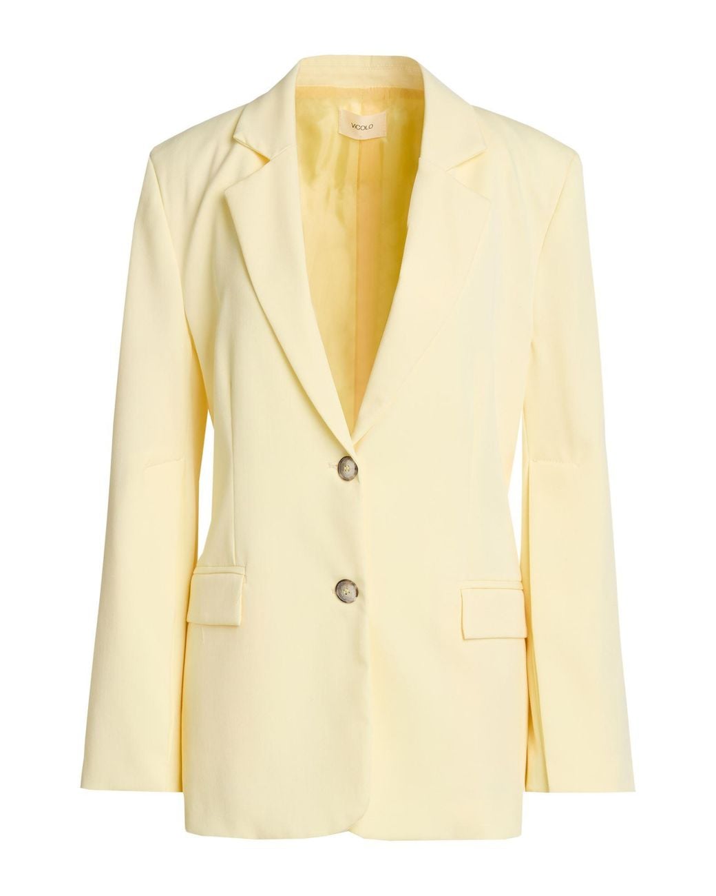 ViCOLO Metallic Blazer