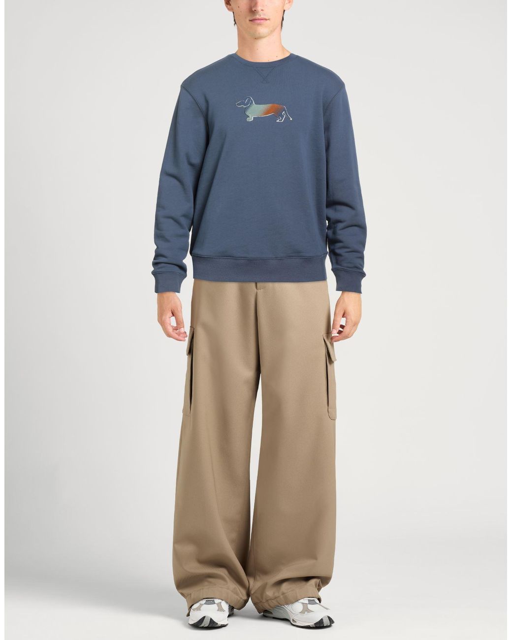 Harmont & Blaine Blue Sweatshirt for men