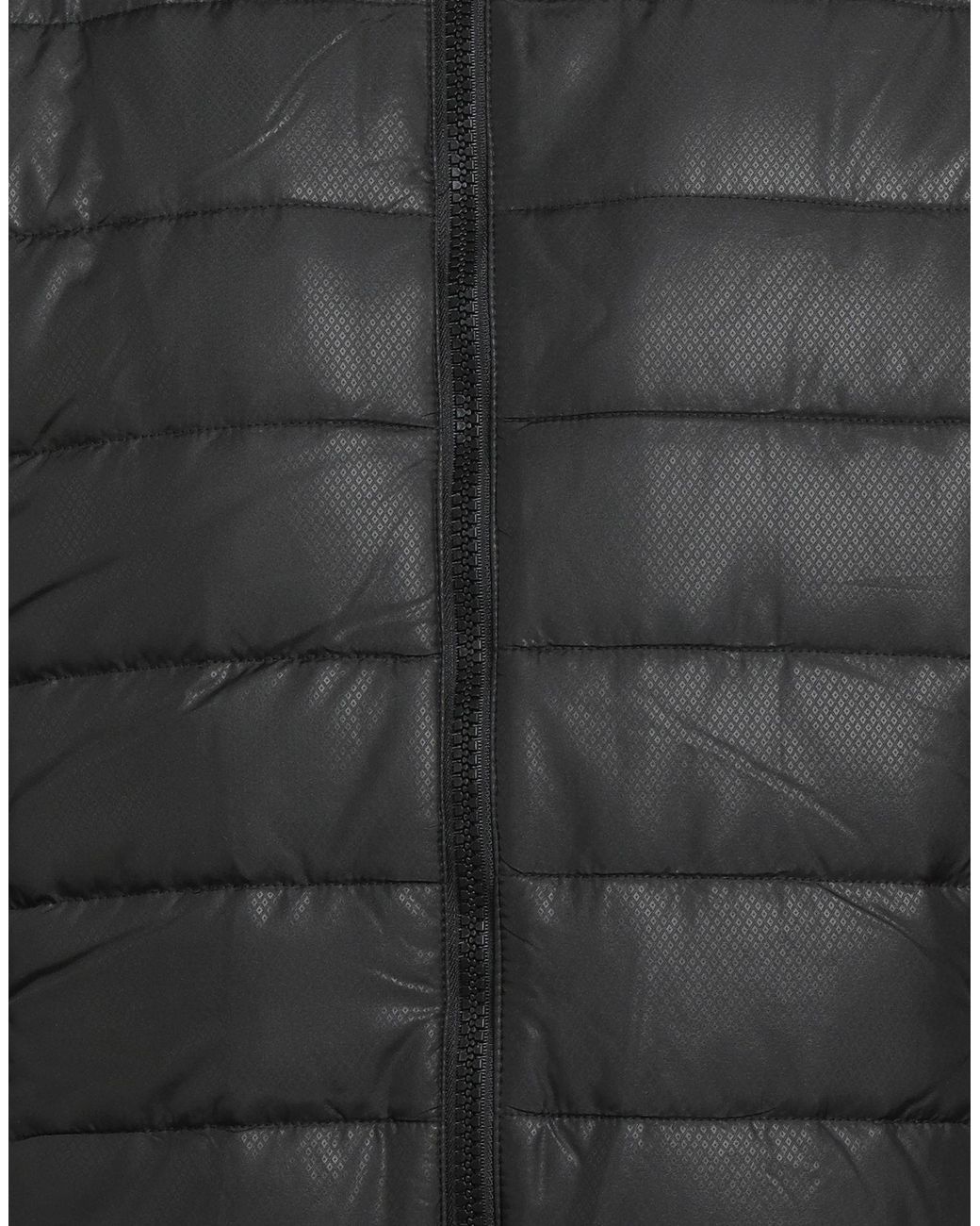 Baldinini Gray Puffer for men