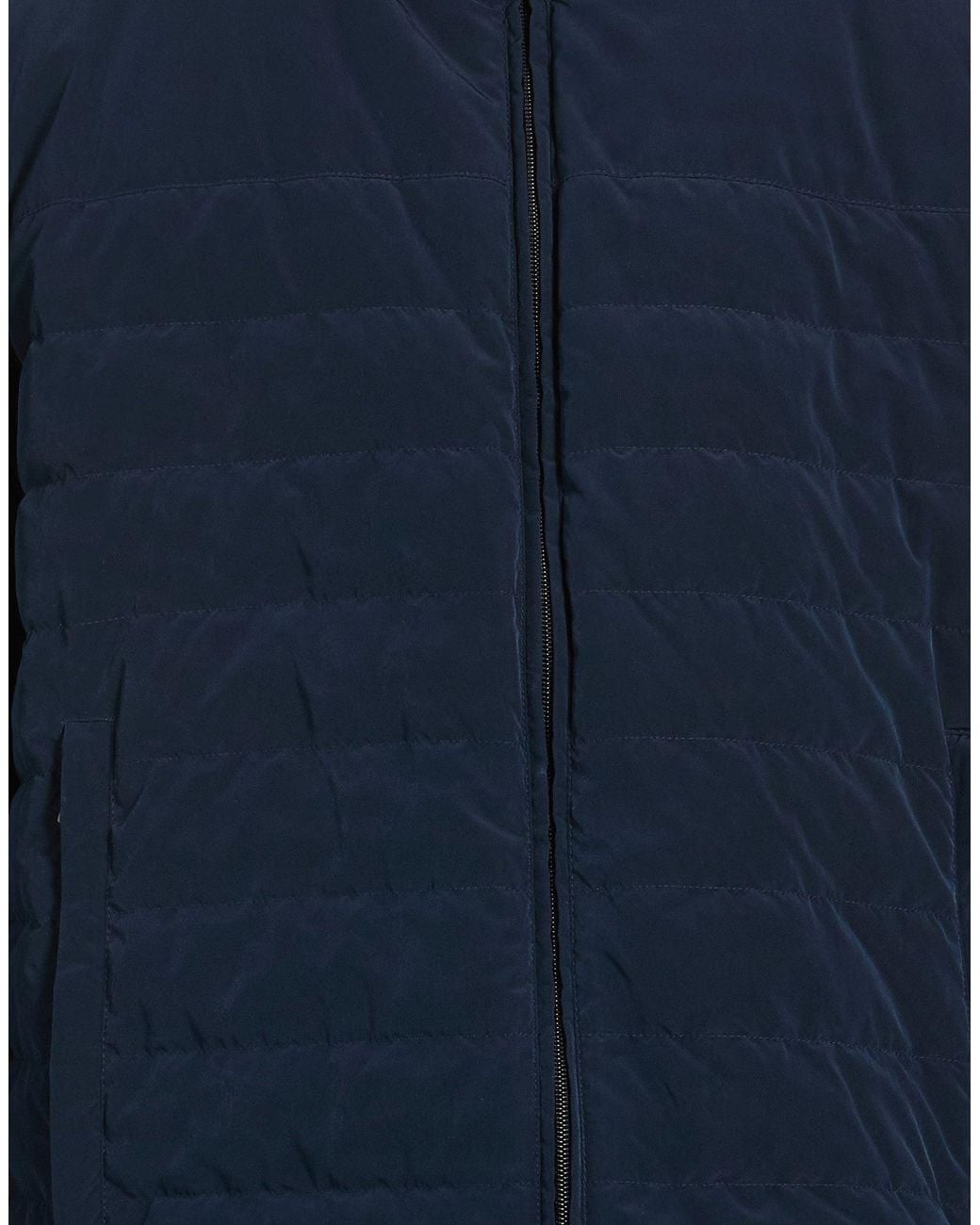 Paul & Shark Blue Puffer for men