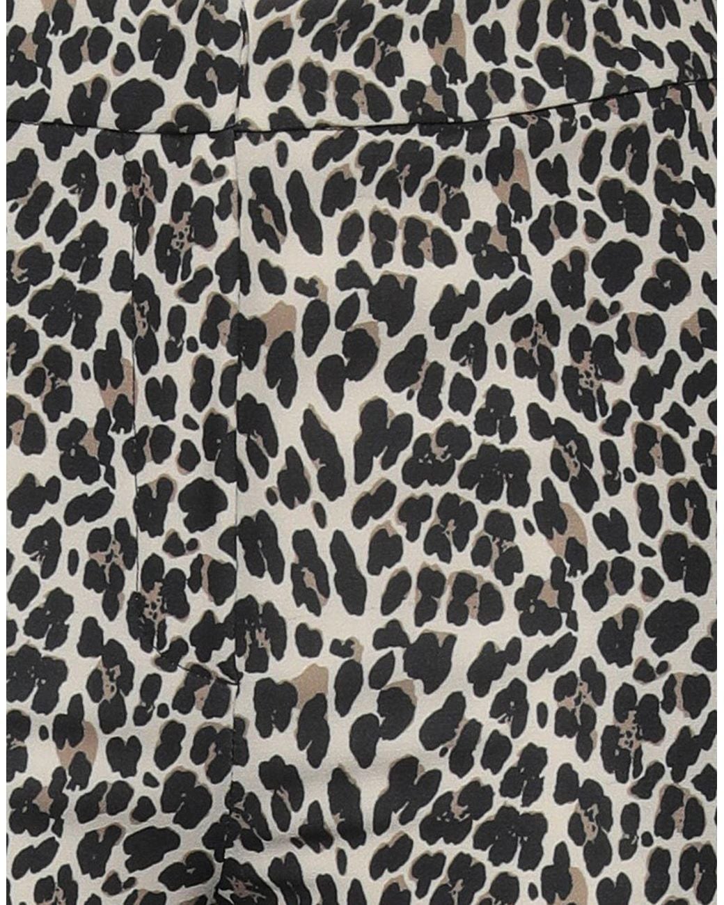 1 One Gray Pants Polyester, Elastane